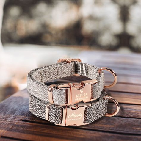 Dog Collar Personalized - Custom Cat Collar with Name Engraved Dog Collar - Personalized Puppy Dog Collar Dog Collar Packaging, Dog Collar Ideas, Cat Collar With Name, Collar Ideas, Female Dog Collars, Unique Dog Collars, Engraved Dog Collar, Luxury Dog Collars, Cute Dog Collars