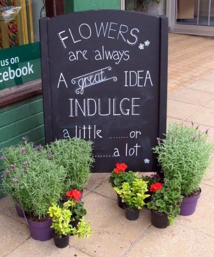 Flower Shop Chalkboard Ideas, Flower Shop Signs Ideas, Greenhouse Inspiration, Market Signage, Feather Wedding Decorations, Flower Shop Display, Friday Flowers, Garden Center Displays, Flower Shop Decor