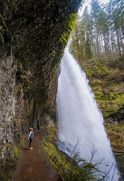 Oregon State Parks, Silver Falls State Park, Silver Falls, Past Tens, Mountain Vacations, Twin Falls, Fall Hiking, Pretty Places, Wine Country