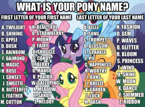 Candy Wind XD what's yours? Comment below ^u^ Funny Name Generator, My Little Pony Names, Twilight Fashion, Mlp Party, Candy Princess, My Little Pony Birthday Party, Little Pony Birthday Party, Pony Birthday Party, What's Your Name