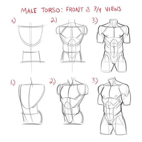 Kyle Petchock (@k_petchock_art) • Fotos e vídeos do Instagram How To Draw Male Torso Step By Step, Back References Male Drawing, Anatomy Torso Reference, Male Torso Drawing Tutorials, Male Torso Drawing Reference, Human Anatomy Art Artworks, How To Draw Male Bodies Anatomy, Torso Drawing Reference, Drawing Male Characters