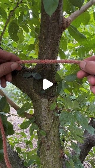 @technogadgets_360 on Instagram: "Farming techniques tools machine and gadgets . . . . . . #bigfarm #megafarmers #farminggadgets #innovation #innovativedesign #farminginspiration #farmingtools #farmingrevolution #tools #gadgets #farming" How To Tie Knots, Simpul Dasi, Camping Knots, Survival Knots, Knots Guide, Farming Techniques, Knots Diy, Knots Tutorial, Rope Crafts Diy