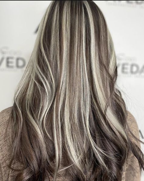 Chunky White Highlights On Brown Hair, Chunky Highlights Straight Hair, Light Brown Hair With White Highlights, Winter Blonde Hair, Winter Blonde, Platinum Highlights, Highlights Ideas, Hair Pics, Light Brow