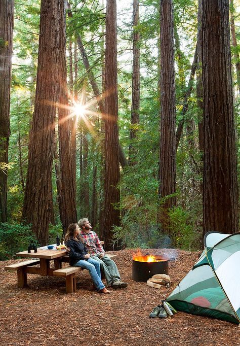 Ventana Campground | Camping In The Big Sur Redwoods Big Sur Camping, Los Padres National Forest, Forest Camp, Camping Inspiration, Camping Aesthetic, Camping Destinations, Big Sur California, Camping Glamping, Camping Life