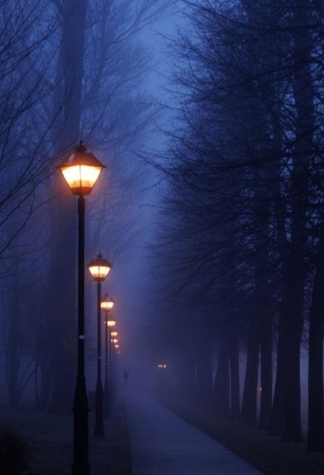 Foggy night in Paris, France. Paris France Photos, Foto Tips, France Photos, 수채화 그림, Street Light, Both Sides, Beautiful World, In The Middle, The Park