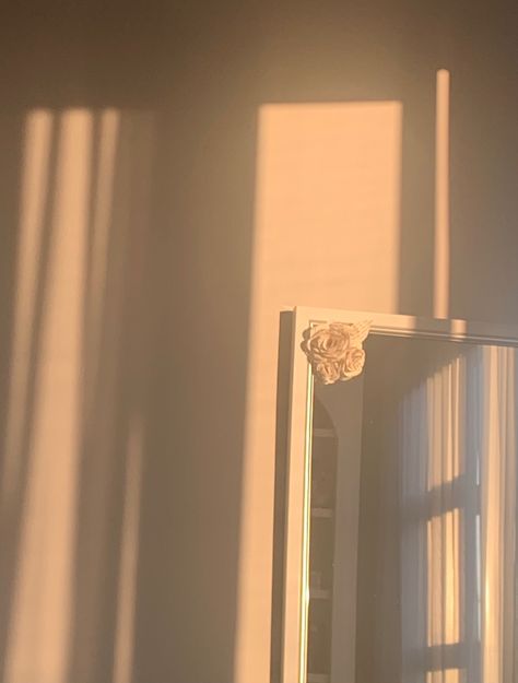 like daylight #aesthetic #goldenhour #sunlight Daylight Astethic, Light Adacemia Aesthetic, Light Aethstetic, Light Asthetics Photos, Sunlight On Wall, Aesthetic Pictures Light, Morning Light Aesthetic, Soft Warm Aesthetic, Vivian Core