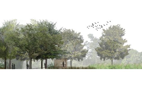 Spackman Mossop and Michaels - Couturie Forest Strategic Plan, 2008 Section Render, Rendering Plan, Tree Elevation, Section Architecture, Architecture Analysis, Tree Render, Forest Architecture, Architecture Trees, Trees Architecture