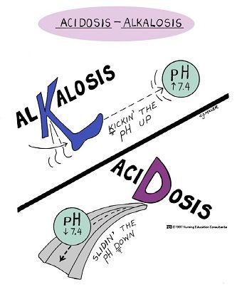 Alkalosis vs Acidosis More Acidosis And Alkalosis, Nursing Mnemonics, Pa School, Nursing School Survival, Nursing School Studying, Nursing School Tips, Nursing School Notes, Nursing Programs, Nursing Tips