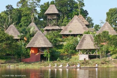 Lodges in the Amazon! Ecuador Amazon Rainforest tours with Row Adventures.  #lodges #Amazon #Rain #Forest #Ecuador Napo Wildlife Center, Rainforest People, Brazil Rainforest, Brazil Amazon, Brazilian Rainforest, Eco Lodges, Amazon Forest, Ecuador Travel, Eco Lodge