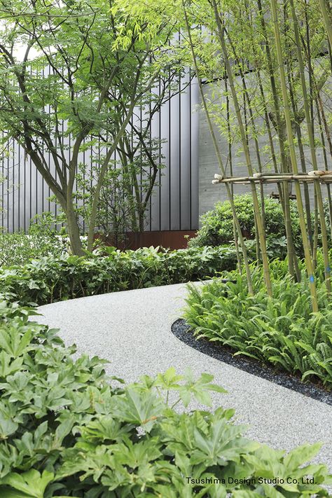 A Fraction Of The Whole, Jungle Images, Walkways Paths, Minimalist Garden, Front Yard Design, Garden Indoor, Landscape Design Plans, Changsha, Yard Design