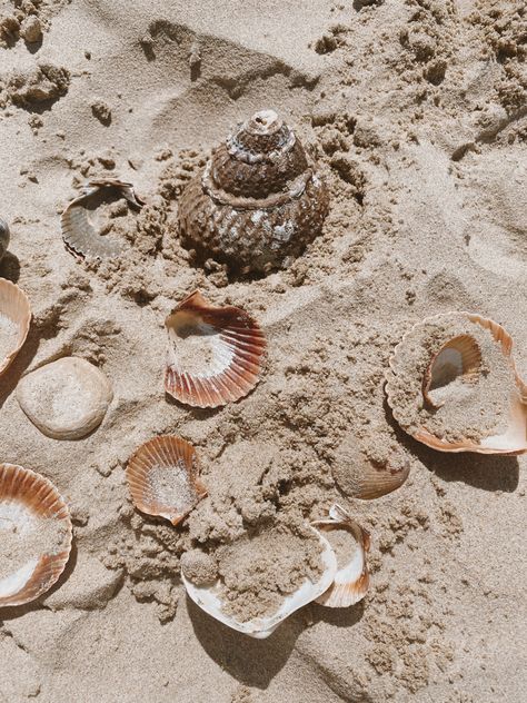 Sand With Seashells, Boho Beach Astethic, Pearls Beach Aesthetic, Shell Beach Aesthetic, Beige Beach Aesthetic Wallpaper, Shells Beach Aesthetic, Sea And Sand Aesthetic, Beach Jewellery Aesthetic, Beach Athestic