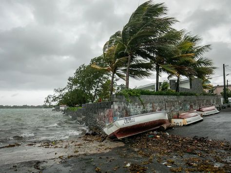 Tropical cyclone is expected to hit the northern parts of South Africa, and here are five essential reads for cyclones. Tropical Cyclone, Eye Of The Storm, Tropical Storm, Oceans Of The World, New Africa, African Countries, Paradise Island, Southern Africa, Indian Ocean