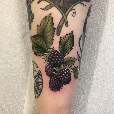 Fruit Tattoo | Photo by (sophiecahilltattoo) on Instagram | #blackberry #blackberries #berries #tattoo #tattoodesign #berriestattoo #sophiecahilltattoo #instagood #instadaily #instatattoo #nemesistattoostudio #fruittattoo #uktta #ladytattooers #tattoosnob #tattoos #gapfiller #nemesistattoo #nemesistattooseaham #nemesistattoostudioseaham Berries Tattoo, Nemesis Tattoo, Berry Tattoo, Blackberry Tattoo, Blackberry Color, Fruit Tattoo, Food Tattoos, Bat Tattoo, Flower Tattoo Designs