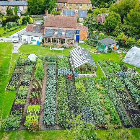 Homeacres - No-dig garden by Charles Dowding in Alhampton, Somerset, UK Some call it backyard homesteading others call it urban homesteading, suburban homesteading or backyard farming. But the basics of backyard homesteading are the same – taking the space you have and raising food on it and reclaiming vintage skills. Charles Dowding, Garden Planning Layout, Chelsea Green, Tanaman Indoor, Jardim Diy, Dig Gardens, Vegetable Garden Planning, Organic Home, Potager Garden