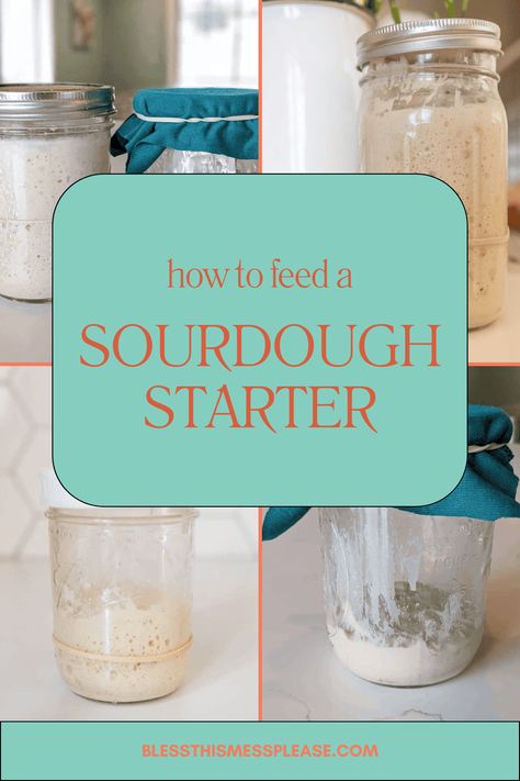 Make A Sourdough Starter, Making Sourdough Bread, Sourdough Bread Starter, Dough Starter, Homemade Sourdough Bread, Bread Starter, Sourdough Starter Recipe, Baking Basics, Sourdough Baking