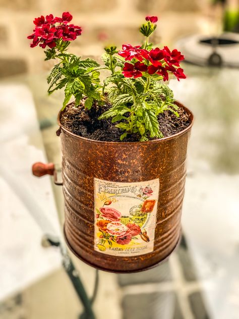 Cute upcycling project done with an old rusty flour sifter! Old Flour Sifter Ideas, Flour Sifter, Upcycle Projects, Flower Planters, Flour, Seeds, Flowers, Upcycling