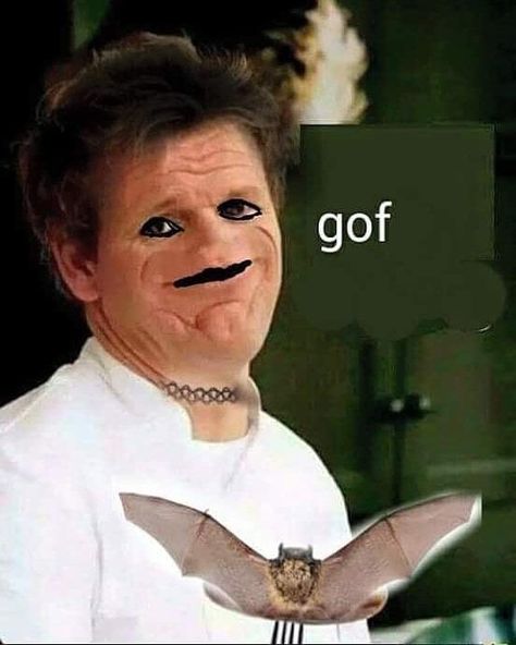 Gordan Ramsay Sosig, Gordan Ramsey Baby, Gorden Ramsey, Gordon Ramsay Funny, Lamb Sauce, Gordon Ramsay, Very Funny Pictures, Funny Reaction Pictures, Internet Funny