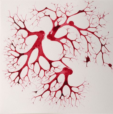 Picture of Red Mold Mold Aesthetic, Mold Drawing, Net Drawing, Process Portfolio, Murmuration Art, A Level Textiles, Red Veins, Red Pictures, Drawing Exercises