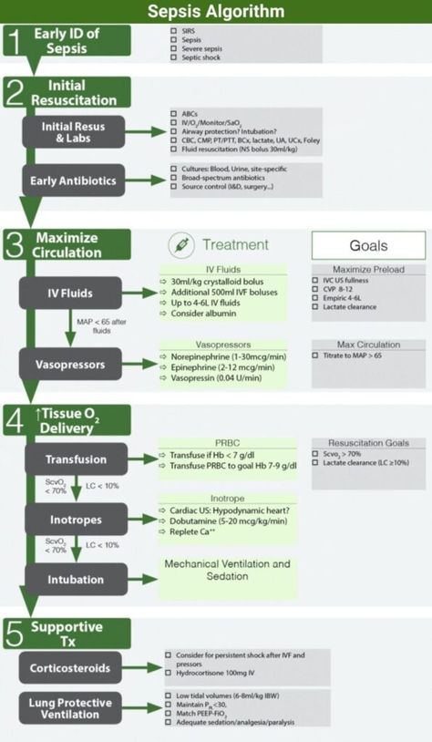 Sepsis Algorithm and Differential Diagnosis - Manual of Medicine Cardiogenic Shock, Septic Shock, Differential Diagnosis, Iv Fluids, Mechanical Ventilation, Cortisol Levels, Nursing Study, Surgery, Nursing