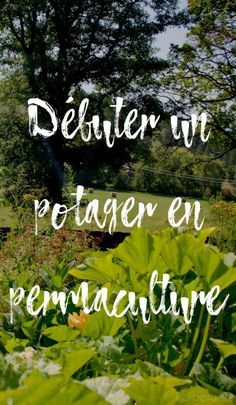 Jardin Permaculture Design, Plan Potager Permaculture, Perma Culture, Plan Potager, Permaculture Farming, Garden Planning Layout, Permaculture Garden, Permaculture Gardening, Permaculture Design