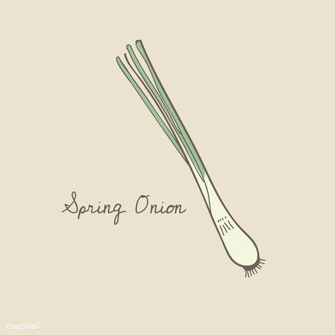 Spring Onion Tattoo, Spring Onion Drawing, Green Onion Tattoo, Spring Onion Illustration, Vegetable Doodles, Onion Drawing, Food Doodle, Game Illustration, Illustration Food