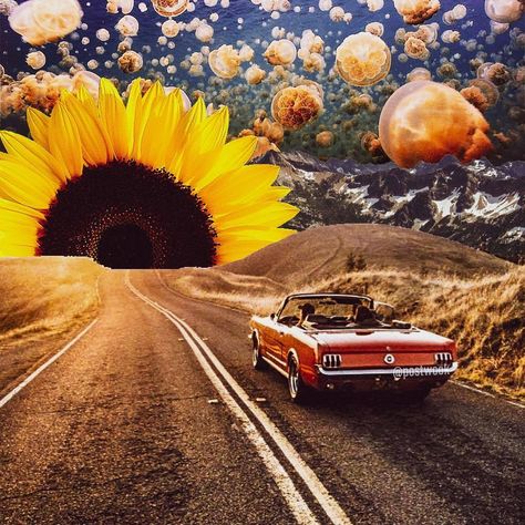 alookseeblog: @postwook - Arte Hippy, Surreal Collage Art, Futurism Art, Surealism Art, Frida Art, Arte Indie, Psychadelic Art, Collage Art Projects, Psy Art