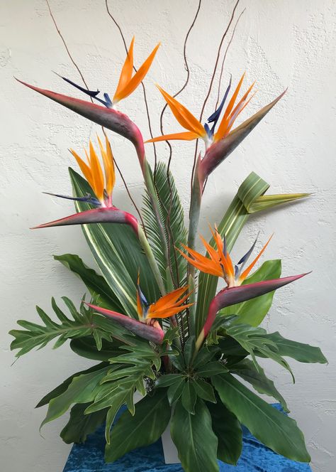 Bird Of Paradise Arrangement Floral Design, Birds Of Paradise Floral Arrangement, Bird Of Paradise Floral Arrangement, Birds Of Paradise Arrangement, Birds Of Paradise Flower Arrangement, Bird Of Paradise Flower Arrangement, Bird Of Paradise Arrangement, Flower Arrangements Ideas, Japanese Flower Arrangement