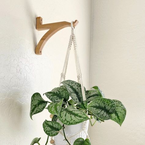 Modern Plant Hangers Indoor, Simple Hanging Plant Holder, Wall Hook For Hanging Plant, Plant Hanger Leather, Wrought Iron Plant Hangers Hooks, Modern Wall Hooks, Indoor Plant Hangers, Plant Hooks, Wall Plant Hanger