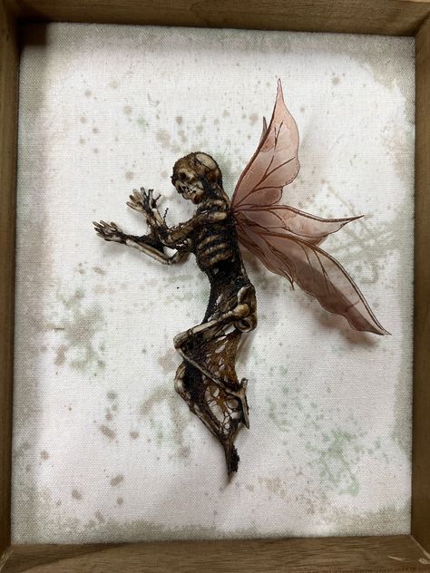 Skeleton Fairies, Faerie Tattoo, Art Skeleton, Shadow Box Display Case, Wooden Shadow Box, Raven Skull, Fairy Pictures, Witchy Crafts, Display Case