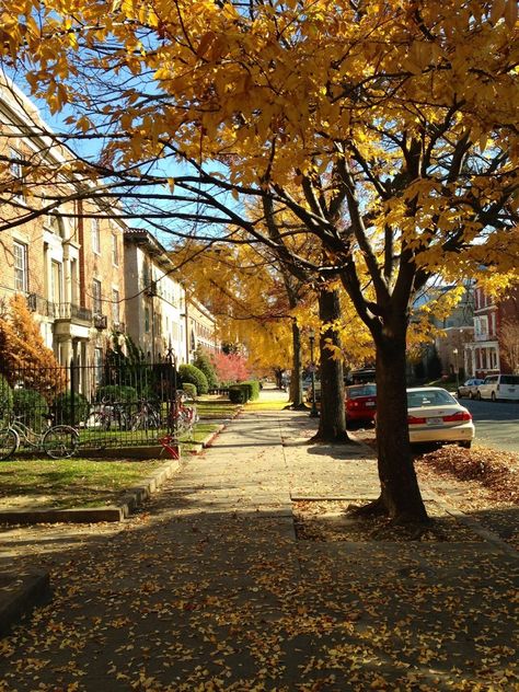 Franklin Street, Richmond, VA Arlington Va Aesthetic, Downtown Richmond Va, Richmond Virginia Aesthetic, September Moodboard, Rm Aesthetic, Starting Fresh, Fall Beauty, Sophomore Year, Junior Year