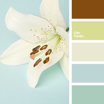 Complementary Colors Examples, Spruce Color, In Color Balance, Flowers Winter, Saturated Blue, Color Palette Ideas, Wall Living Room, Complimentary Color Scheme, Brown Color Palette