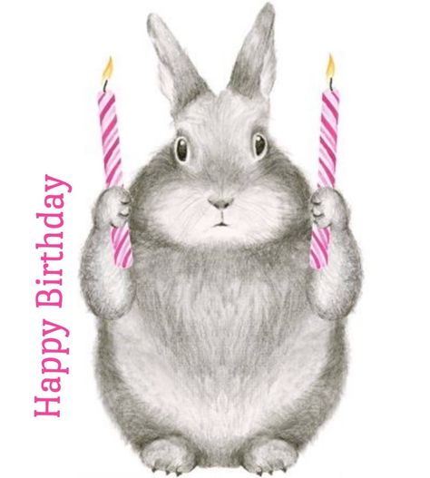 Happy Bday Greetings, Happy Birthday Rabbit, Bday Greetings, Birthday Cards Images, Christian Greeting Cards, Bday Wishes, 16th Birthday Card, Bunny Images, Cute Happy Birthday