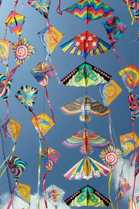 Kite Festival Indian, Kite Aesthetic Photography, Kite Flying Photography India, Kite Aesthetics, Kites Aesthetic, Kite Designs Ideas, Kite Aesthetic, Kite Festival Photography, Kite Ideas