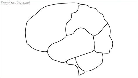 How to draw a brain step by step - Easy drawings How To Draw A Brain, Brain Drawing Easy, Brain Drawing Simple, Draw A Brain, Brain Drawings, Journaling Pictures, Brain Diagram, Therapy Interventions, Brain Drawing