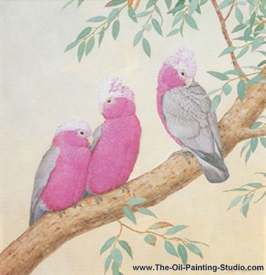 N/A N/A,  WL9 Galah Bird, Eucalyptus Painting, Galah Cockatoo, Birds Drawing, Sarah Adams, Bird Paintings, Bird Drawing, Animal Drawing, Australian Birds