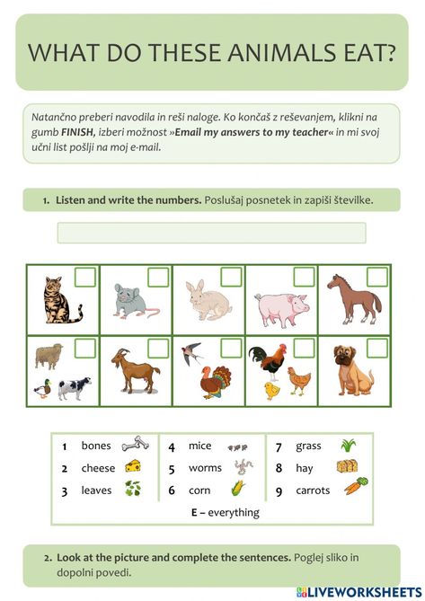 What Animals Eat, Animal Riddles, English As A Second Language (esl), English As A Second Language, Online Activities, School Subjects, Online Workouts, Google Classroom, Riddles