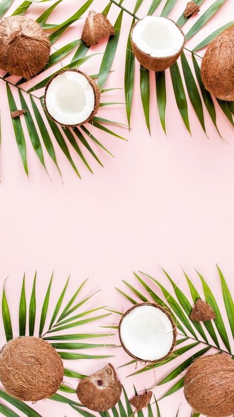 Coconut Background Wallpapers, Coconut Wallpaper, Candle Logo Design, Food Backgrounds, Fruit Art, Summer Wallpaper, Branding Photos, Tropical Vibes, Lily Flower