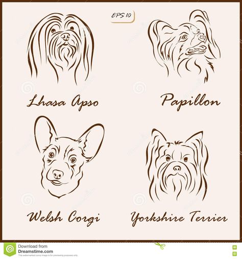 Papillon Dog Tattoo, Lhasa Apso Tattoo, Hawk Tattoo, Papillon Dog, Animal Silhouette, Lhasa Apso, Lhasa, Dog Tattoo, Welsh Corgi