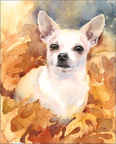 Chihuahua Drawing, Royal Pet Portrait, Chihuahua Art, 강아지 그림, Canine Art, Chihuahua Love, Watercolor Dog, Chihuahua Dogs, Dog Drawing