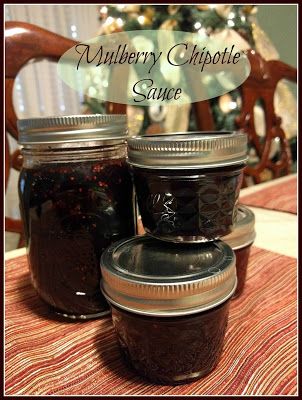 Chipotle Sauce Recipe, Chipotle Bbq Sauce, Raspberry Chipotle Sauce, Mulberry Recipes, Chipotle Sauce, Adobo Sauce, Holiday Snacks, Mulberry Tree, Jams & Jellies