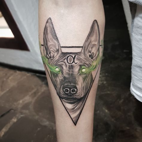 Xoloescuincle tattoo Xolo Dog, Pride Tattoo, Dog Tattoo, Portrait Tattoo, Harry Styles, Face Paint, Tatting, Tattoos, Canvas