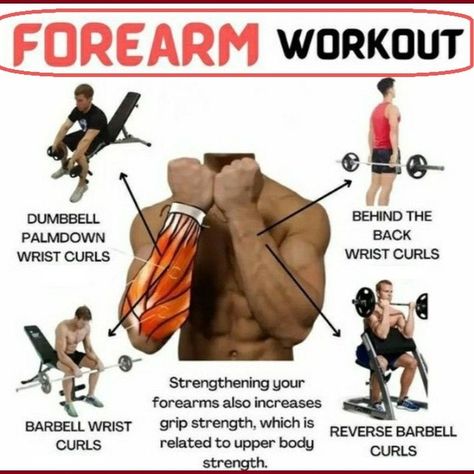 The human forearm, often overshadowed by more prominent muscle groups, plays a pivotal role in our everyday activities. From lifting objects to typing on a keyboard, the forearm muscles are constantly engaged, making them crucial for functionality and strength. https://nutritionsnation3.blogspot.com/ Exercises For Forearms, Forearm Workouts, Muscle Groups To Workout, Bodybuilding Plan, Calisthenics Training, Forearm Muscles, Forearm Workout, Military Workout, Bodybuilding Workouts Routines