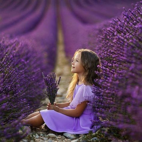 Lavender Fields Photography, Fairytale Photoshoot, Toddler Photoshoot, Lavender Farm, Photography Posing Guide, Photo Editing Services, Fields Photography, Lavender Fields, Creative Photos