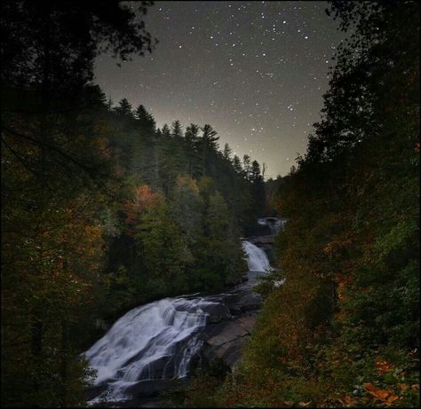 John Muir, Going Home, Skyrim, Blue Ridge, The Mountain, North Carolina, Beautiful Places, Favorite Places, Forest