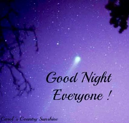 Good night everyone! via Carol's Country Sunshine on Facebook Nighty Night Quotes, Good Night Dear, Evening Quotes, Good Night Everyone, Dream Night, Slaap Lekker, Good Night Friends, Good Night Blessings, Good Night Greetings