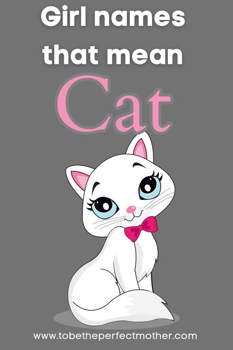 Cute girl names that mean cat Cat Names Girl, Spanish Girls Names, Strong Girl Names, Girl Cat Names, Cute Animal Names, List Of Girls Names, Life Recently, Kitten Names