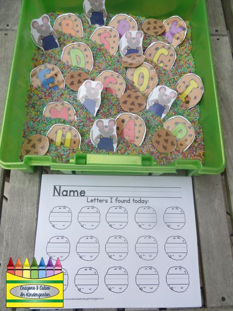 using If You Give A Mouse A Cookie story elements for a sensory table Sensory Community Helpers, Laura Numeroff Author Study, Book Themed Activities, Book Lessons, Laura Numeroff, Mouse Paint, Mouse A Cookie, Preschool Units, Cookies Theme