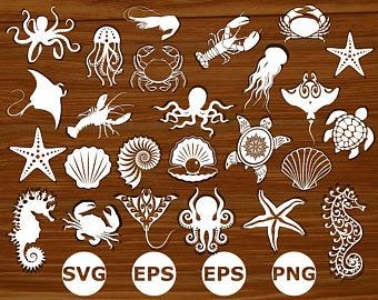 Sea Shell Svg | Etsy Ocean Silhouette, Sea Silhouette, Ocean Svg, Cute Frogs, Monogram Svg, Ocean Animals, Gecko, Sea Animals, Vector Photo