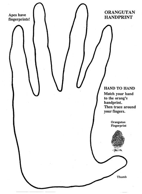 orangutan hand print | School | Pinterest | Orangutans, Hand ... Hand Activity, Rainforest Preschool, Hand Outline, Vbs Themes, Great Ape, Novel Studies, Jungle Theme, Letter G, Child Development