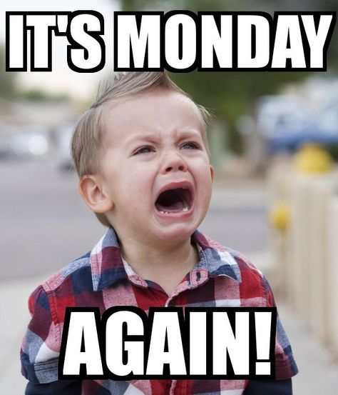 Hilarious Monday Memes to Get You Through the Week Funny Sunday, Funny Monday Memes, Montag Motivation, Monday Sucks, Happy Monday Quotes, Friday Meme, Sarcastic Women, Tomorrow Is Monday, Morning Memes